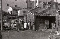 藏品(1950至2006年臺灣常民生活)的圖片