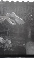 藏品(1950至2006年臺灣常民生活)的圖片