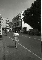 藏品(1950至2006年臺灣常民生活)的圖片