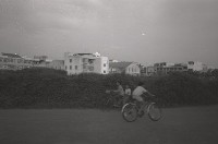 藏品(1950至2006年臺灣常民生活)的圖片