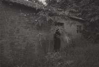 藏品(1950至2006年臺灣常民生活)的圖片