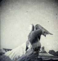 藏品(1950至2006年臺灣常民生活)的圖片