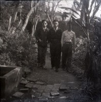 藏品(1950至2006年臺灣常民生活)的圖片