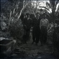 藏品(1950至2006年臺灣常民生活)的圖片