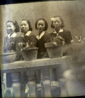 藏品(1950至2006年臺灣常民生活)的圖片