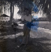 藏品(1950至2006年臺灣常民生活)的圖片