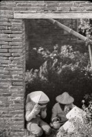 藏品(1950至2006年臺灣常民生活)的圖片