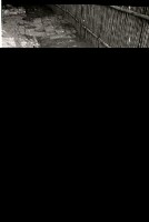 藏品(1950至2006年臺灣常民生活)的圖片