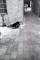 藏品(1950至2006年臺灣常民生活)的圖片