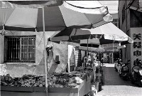 藏品(1950至2006年臺灣常民生活)的圖片