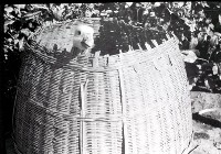 藏品(1950至2006年臺灣常民生活)的圖片