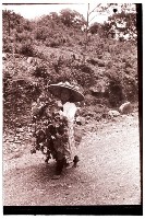 藏品(1950至2006年臺灣常民生活)的圖片