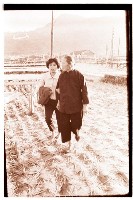 藏品(1950至2006年臺灣常民生活)的圖片