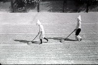 藏品(1950至2006年臺灣常民生活)的圖片