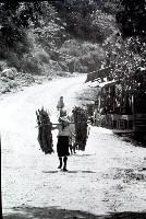 藏品(1950至2006年臺灣常民生活)的圖片