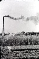 藏品(1950至2006年臺灣常民生活)的圖片