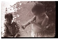 藏品(1950至2006年臺灣常民生活)的圖片