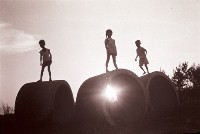 藏品(1950至2006年臺灣常民生活)的圖片