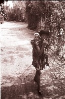 藏品(1950至2006年臺灣常民生活)的圖片