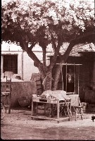 藏品(1950至2006年臺灣常民生活)的圖片