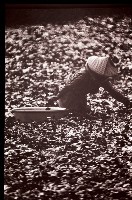 藏品(1950至2006年臺灣常民生活)的圖片