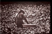 藏品(1950至2006年臺灣常民生活)的圖片