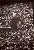 藏品(1950至2006年臺灣常民生活)的圖片