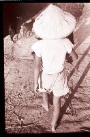 藏品(1950至2006年臺灣常民生活)的圖片