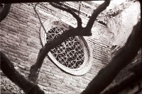 藏品(1950至2006年臺灣常民生活)的圖片