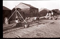 藏品(1950至2006年臺灣常民生活)的圖片