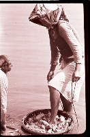 藏品(1950至2006年臺灣常民生活)的圖片