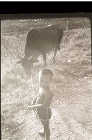 藏品(1950至2006年臺灣常民生活)的圖片