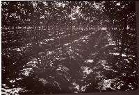 藏品(1950至2006年臺灣常民生活)的圖片