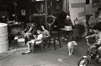 藏品(1950至2006年臺灣常民生活)的圖片