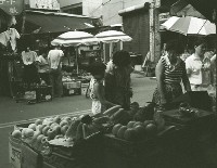 藏品(1950至2006年臺灣常民生活)的圖片