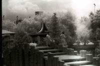 藏品(1950至2006年臺灣常民生活)的圖片