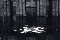 藏品(1950至2006年臺灣常民生活)的圖片