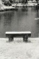 藏品(1950至2006年臺灣常民生活)的圖片