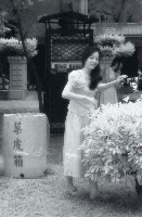 藏品(1950至2006年臺灣常民生活)的圖片