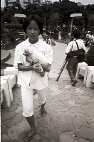 藏品(1950至2006年臺灣常民生活)的圖片