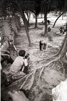 藏品(1950至2006年臺灣常民生活)的圖片