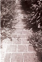 藏品(1950至2006年臺灣常民生活)的圖片