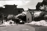 藏品(1950至2006年臺灣常民生活)的圖片