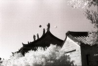 藏品(1950至2006年臺灣常民生活)的圖片