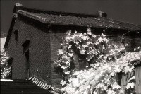 藏品(1950至2006年臺灣常民生活)的圖片