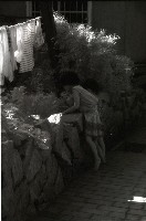 藏品(1950至2006年臺灣常民生活)的圖片