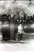 藏品(1950至2006年臺灣常民生活)的圖片