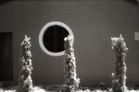 藏品(1950至2006年臺灣常民生活)的圖片