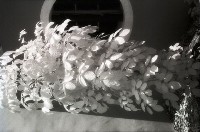 藏品(1950至2006年臺灣常民生活)的圖片