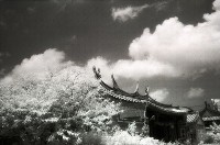 藏品(1950至2006年臺灣常民生活)的圖片